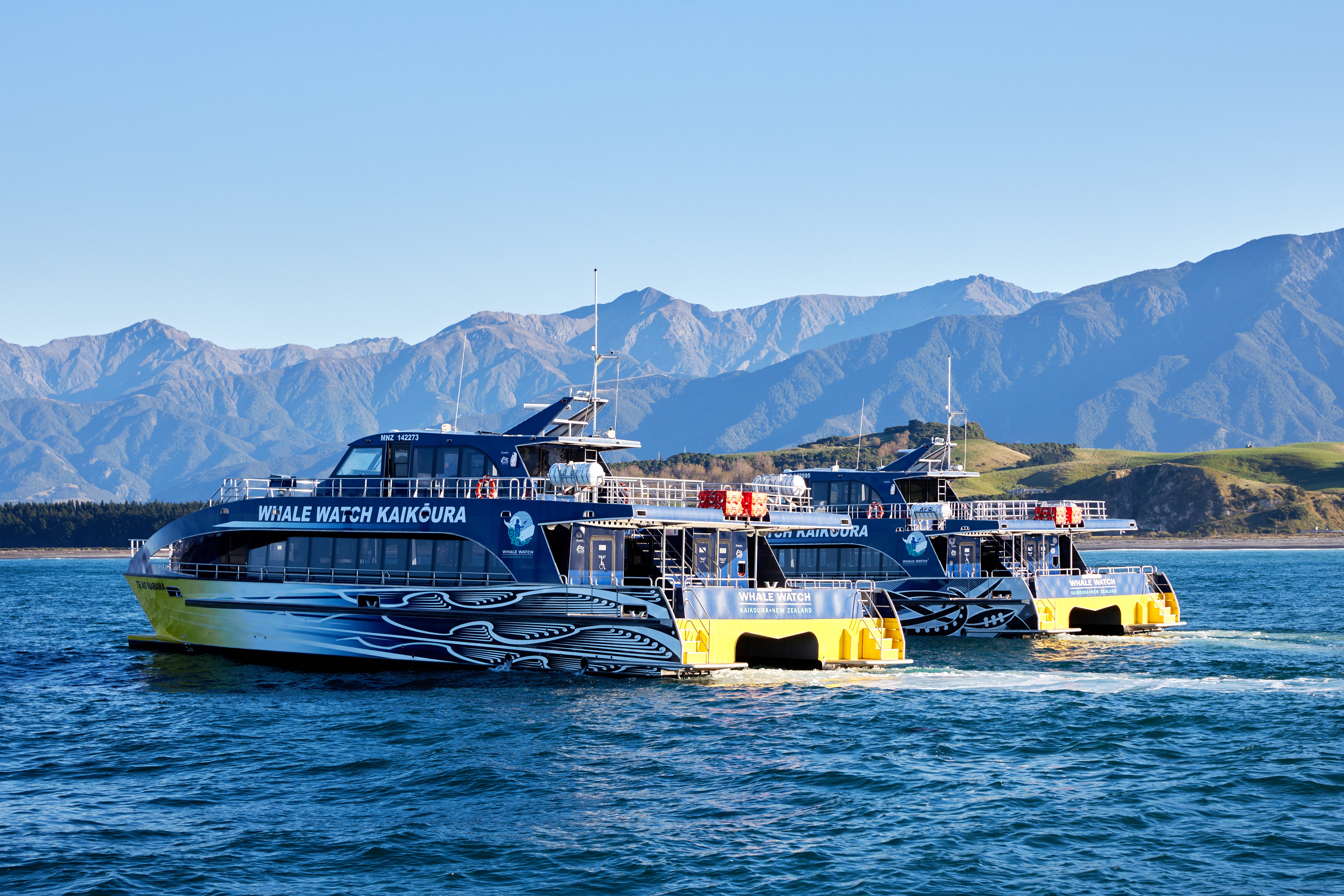 2025 Kaikoura Travel Guide: Must-see attractions, popular food, hotels, transportation routes (updated in June)
