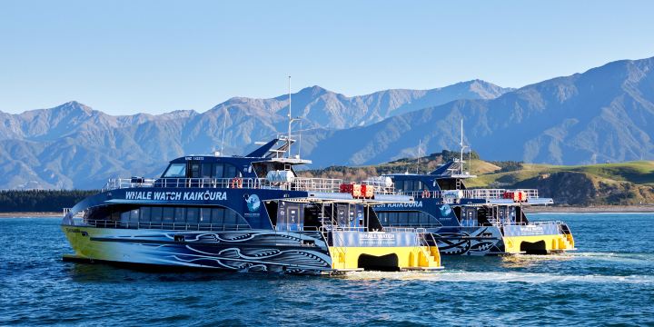 Whale Watch Kaikoura