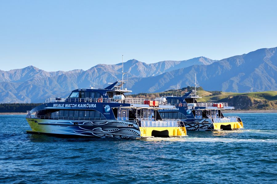 Vol Blenheim Kaikoura