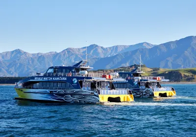Kaikoura Whale Cruise