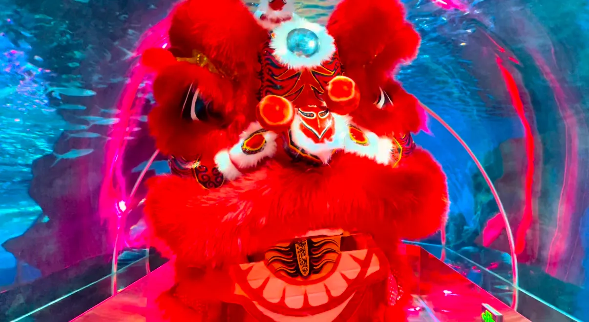 4_蘭州極地海洋世界