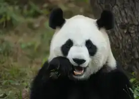 杭州野生動物世界