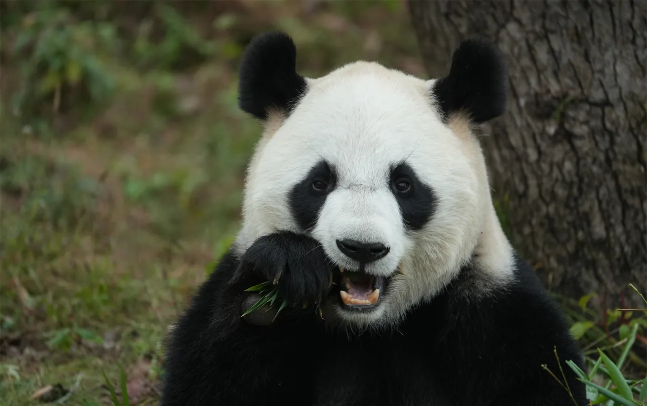 2_杭州野生動物世界