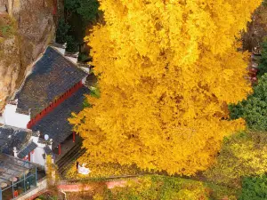 Popular Best Things to Do in Jiande