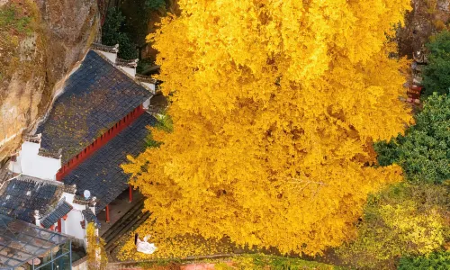 Daci Cliffs Scenic Area