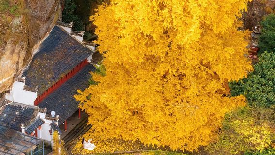 Daci Cliffs Scenic Area