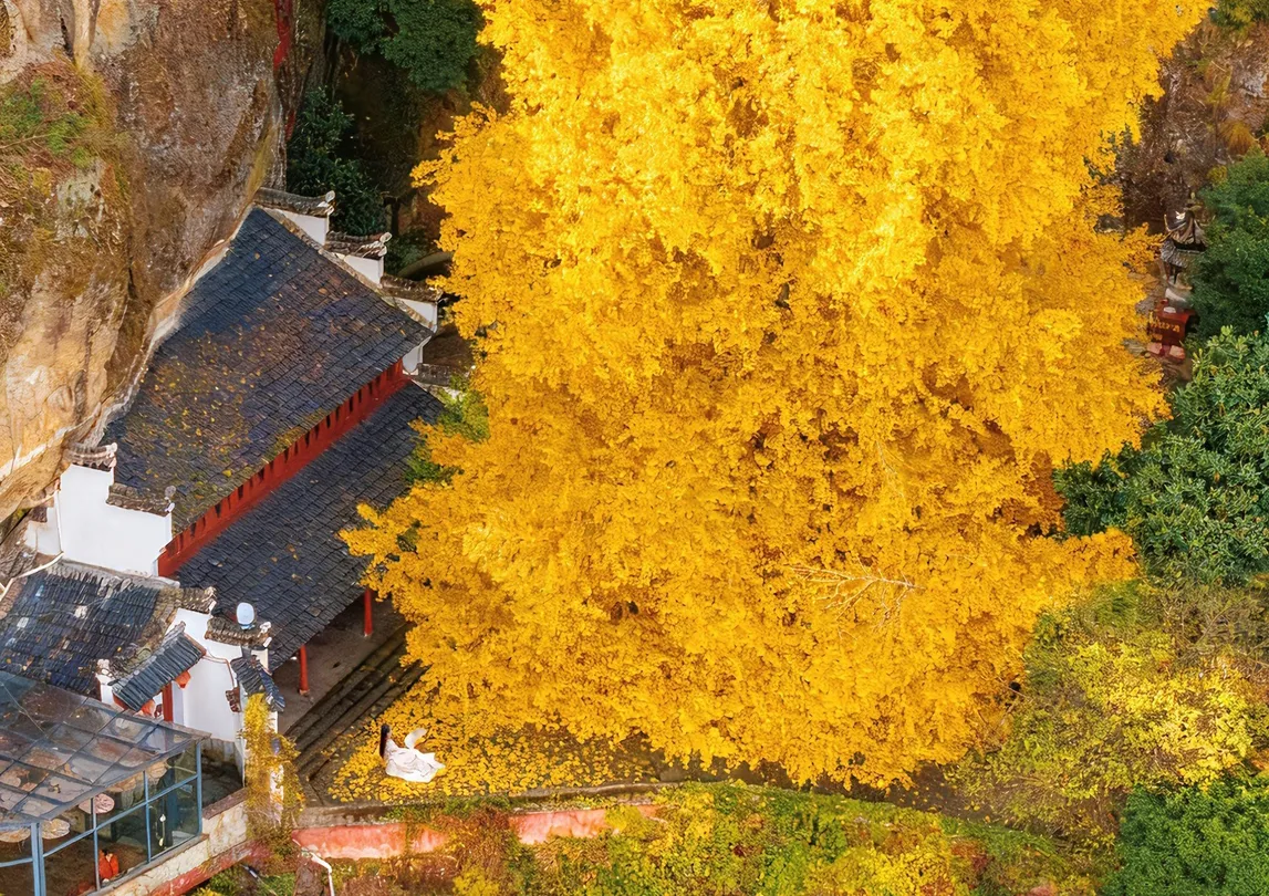 1_Daci Cliffs Scenic Area