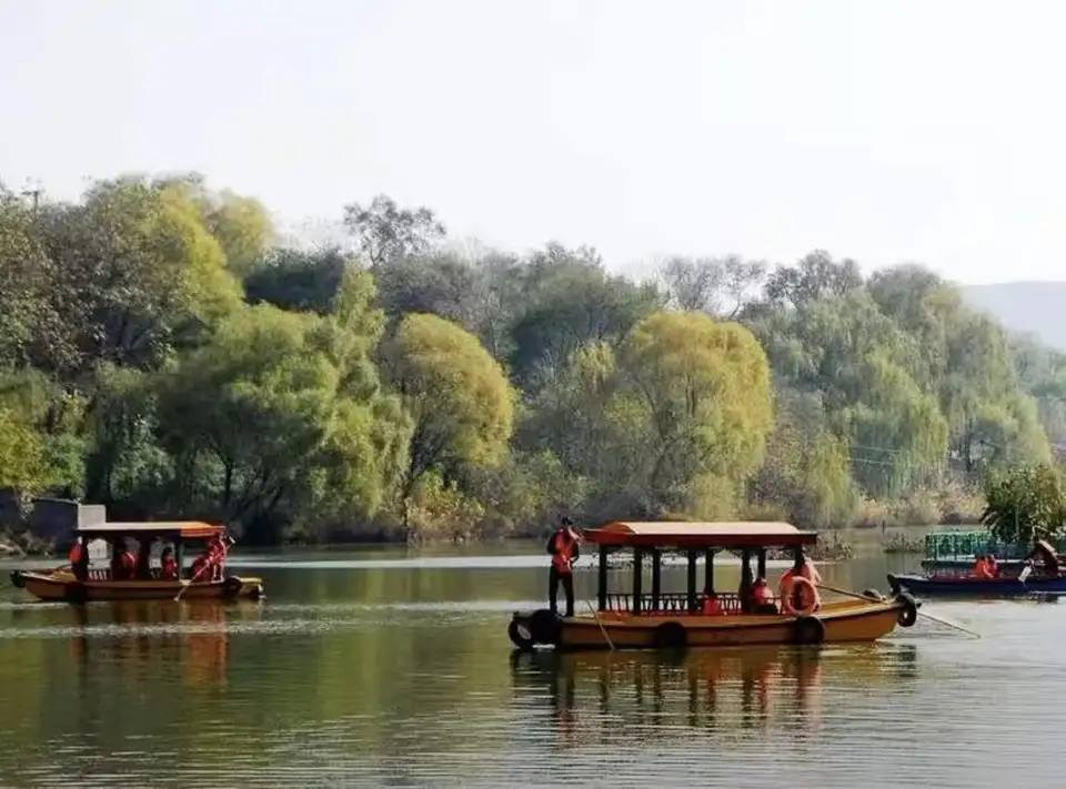 4_Oriental Giant Turtle Garden