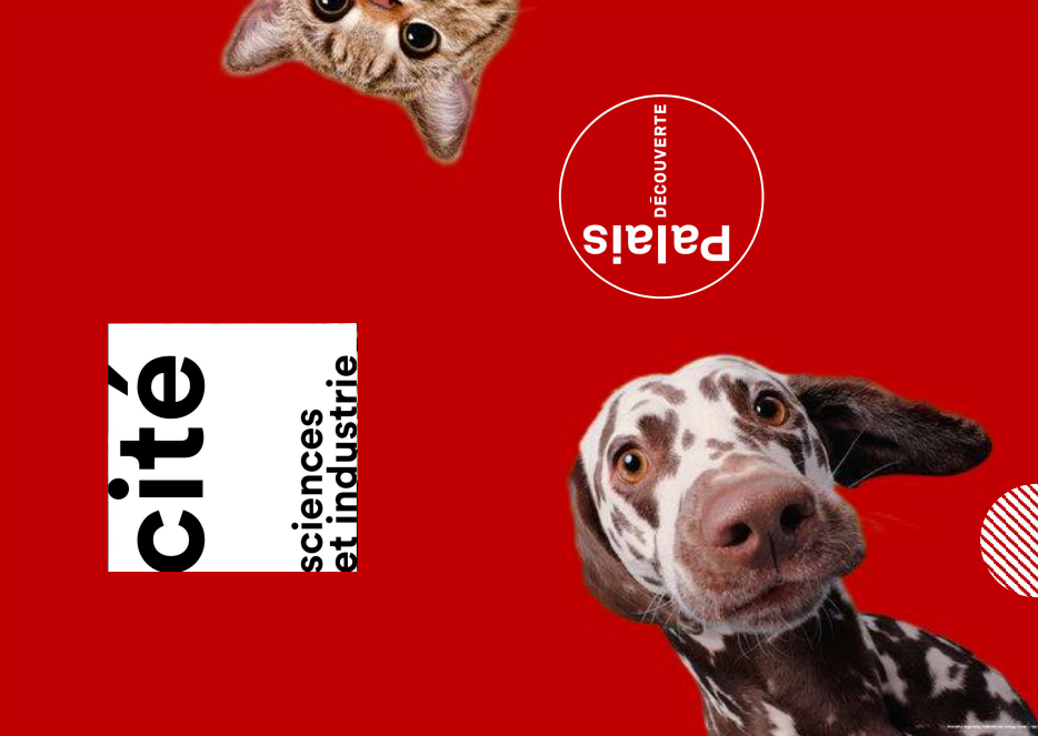 Shenzhen Museum's "Pet Love - The World of Cats and Dogs" Exhibition | Shenzhen Museum