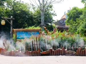 Enjoy Animal Kingdom