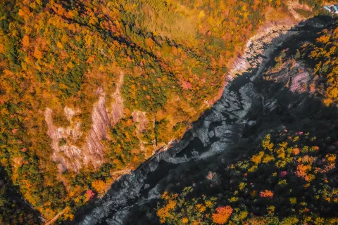 Swallow River Grand Canyon