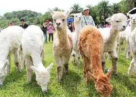 Green World Ecological Farm