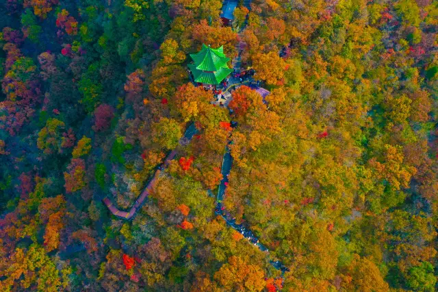 Fall Foliage Sightseeing in Jiaozuo