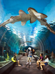 Underwater World Pattaya