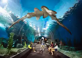 Underwater World Pattaya