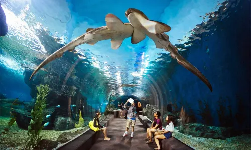 Underwater World Pattaya