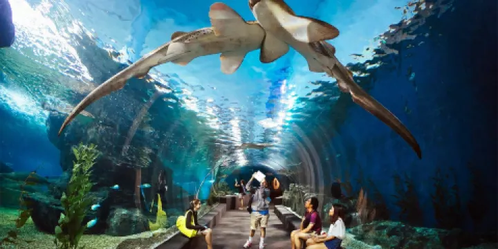 芭堤雅海底世界