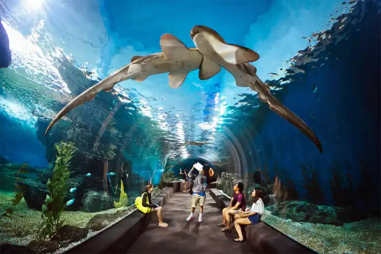 Hotels near Underwater World Pattaya