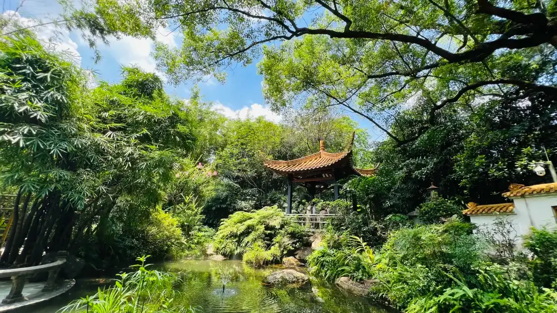Hotels near Canton Orchid Garden