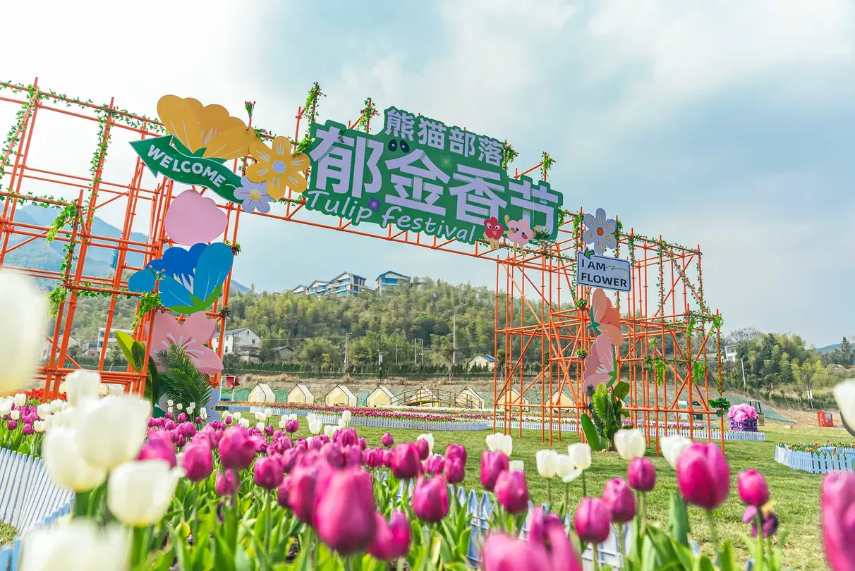 5_雲上草原國際山地旅遊度假區