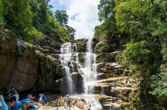 Wuyishan National Park Scenic Road No. 1