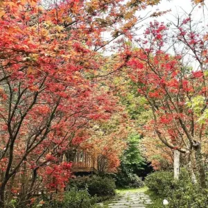 福田園休閒農場