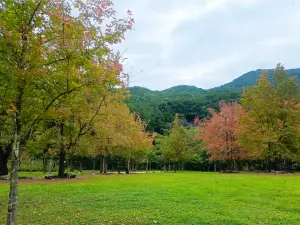 Shiwan Great Mountain National Forest Park
