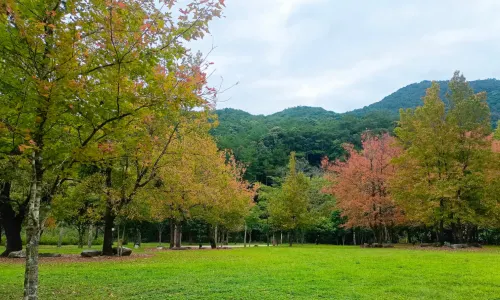 Shiwan Great Mountain National Forest Park