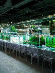 Aqua Garden Cafe (Lotte world mall)