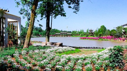 Northern Guizhou Four-Season Flower Scenic Area