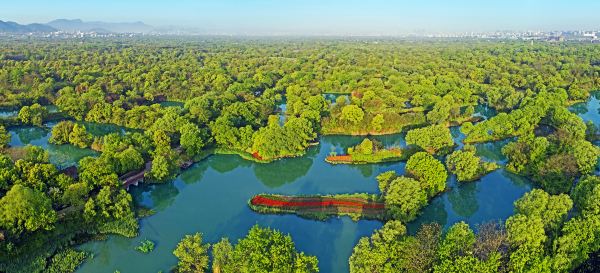 Xixi National Wetland Park