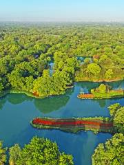 Национальный водно-болотный парк Си Цзиньпина