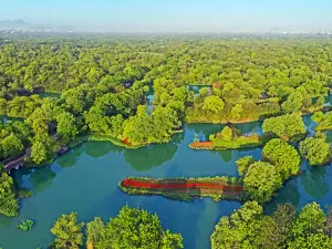 Национальный водно-болотный парк Си Цзиньпина