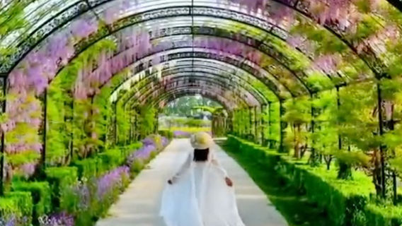 Shandong Qianmuyuan Farm