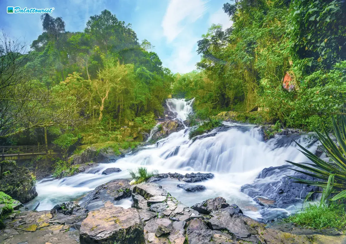 2_Datanla New Alpine Coaster