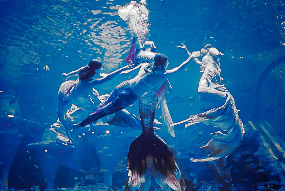 2_Guangzhou Ocean Aquarium