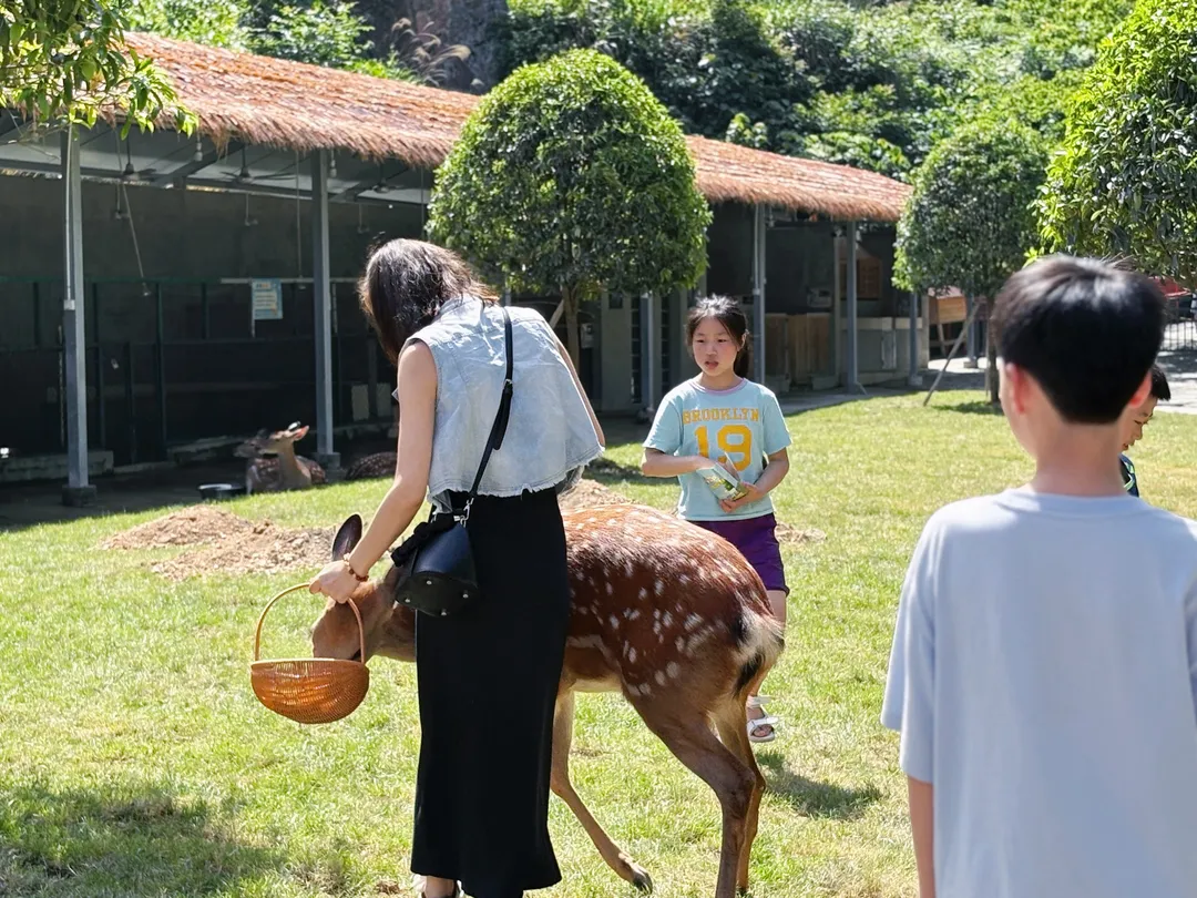 4_鹿野仙蹤