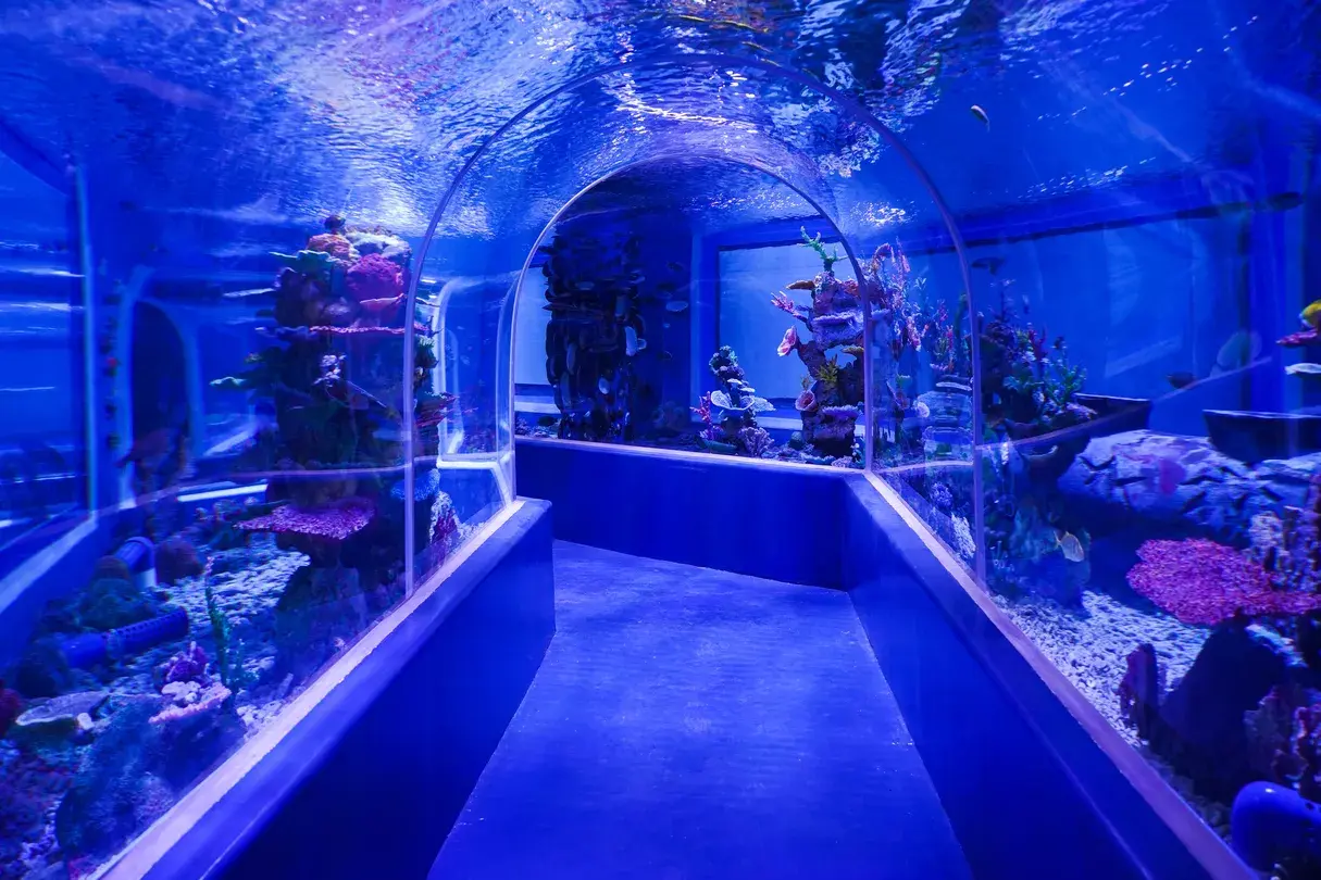 5_上海大自然野生昆蟲館