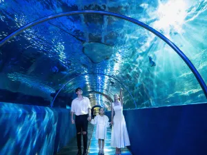 신아오(신오) 해저세계