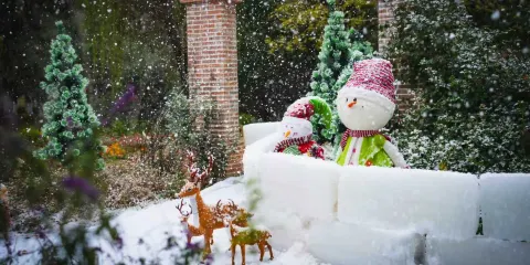 蘇州中國花卉植物園