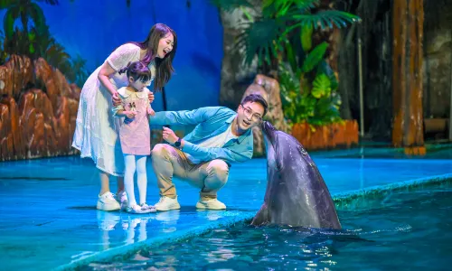 Dalian Laohutan Ocean Park