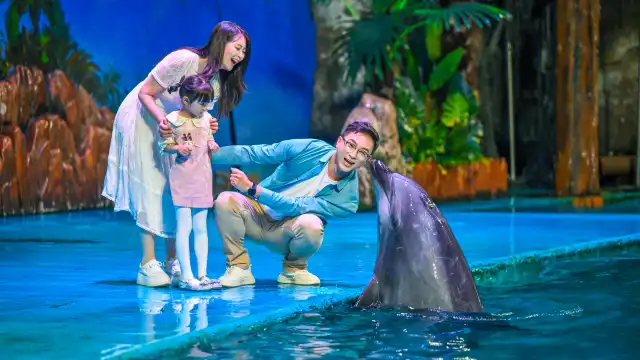 老虎灘海洋公園