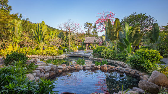 Hot Springs in Maoming