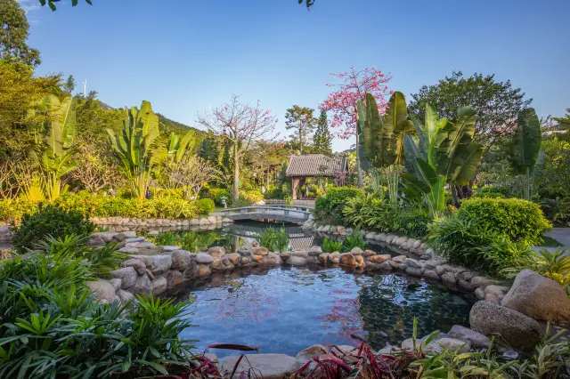 Hot Springs in Maoming