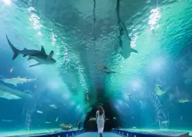 Oceanogràfic València