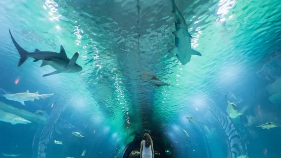 Oceanogràfic València