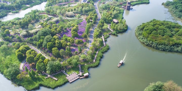 Shajiabang Reed Wetland