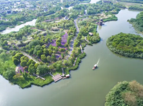 Shajiabang Reed Wetland