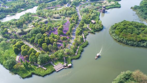 Shajiabang Reed Wetland
