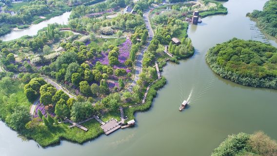 Shajiabang Reed Wetland